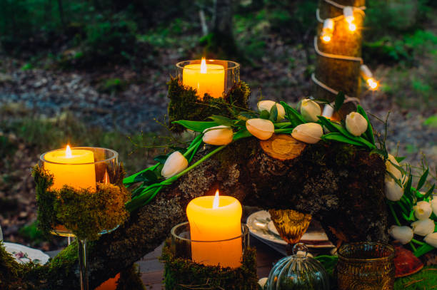 istock Wedding decorations with tulips, moss and candles 1097469344