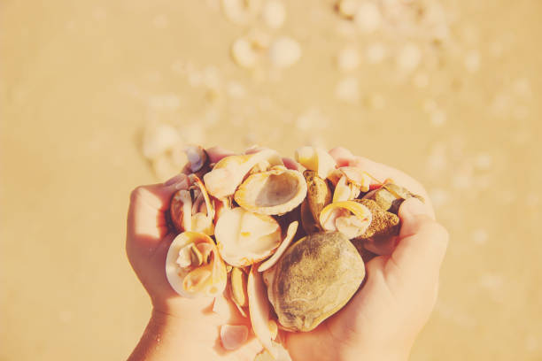 istock Shells and starfish on the sea. summer photo. selective focus. 1097469546