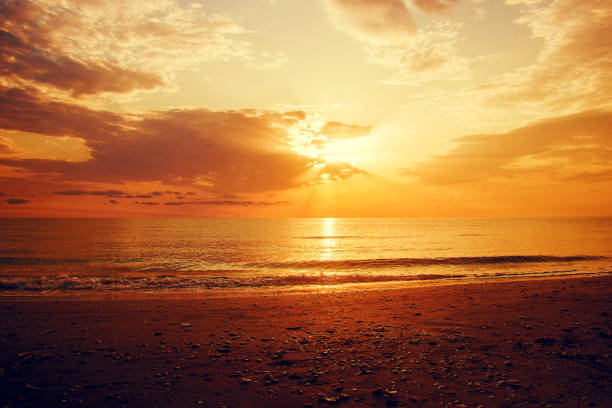 Sea