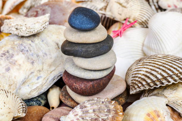 istock Balanced stones between variety of seashells 1097475932