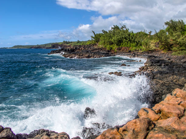 istock Pacific waves crashing on volcanic rock 1097487698