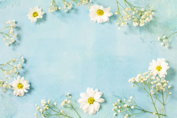 istock Easter background with spring flowers. Top view flat lay background with. 1097487756