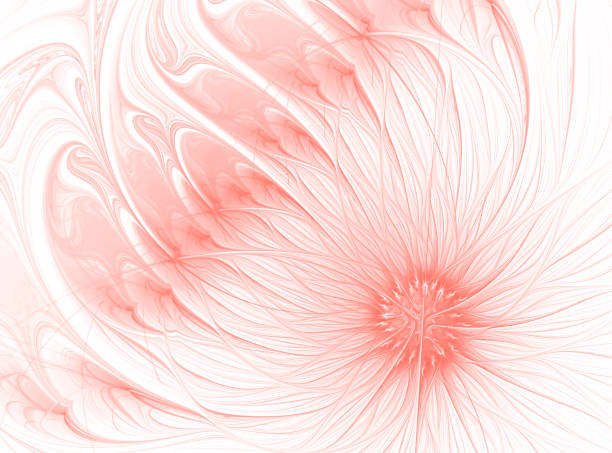 lebenden korallen blume trendigen pastellfarben abstrakte rosa orange daisy auf weißen hintergrund fraktale kunst - lotus seerose fotos stock-fotos und bilder