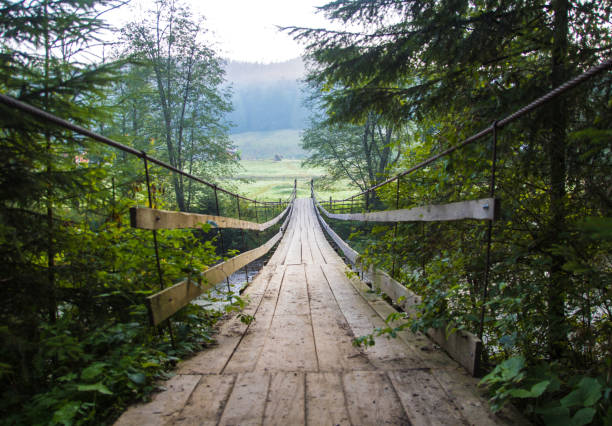 istock suspension bridge across the river. summer morning time. 1097493132