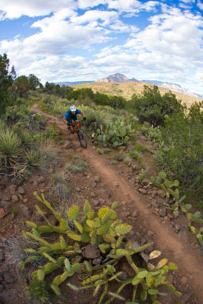 istock Sedona Mountain Bike Singletrack Ride 1097493518