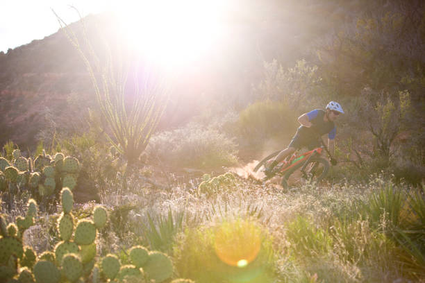 седона горный велосипед ride - sun lens flare sedona desert стоковые фото и изображения