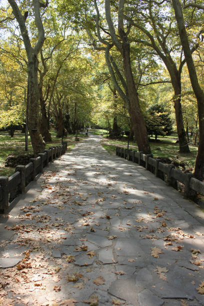 istock Agios Nikolaos Park Naousa Greece Europe 1097493992