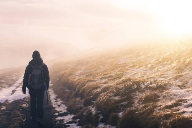 istock Fog in nature at sunset 1097495474