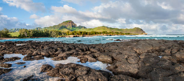 ampia vista della baia di kawailoa - mahaulepu beach foto e immagini stock