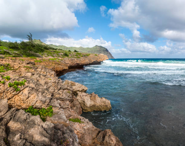 volcánica acantilado junto a la playa de māhāʻulepū - mahaulepu beach fotografías e imágenes de stock