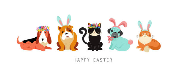 illustrations, cliparts, dessins animés et icônes de heureux carte de pâques, les chiens et les chats vêtus de costumes de lapin, tenant le panier avec oeufs - easter animal egg eggs vector