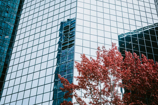 istock Bellevue Washington Cityscape 1097509038