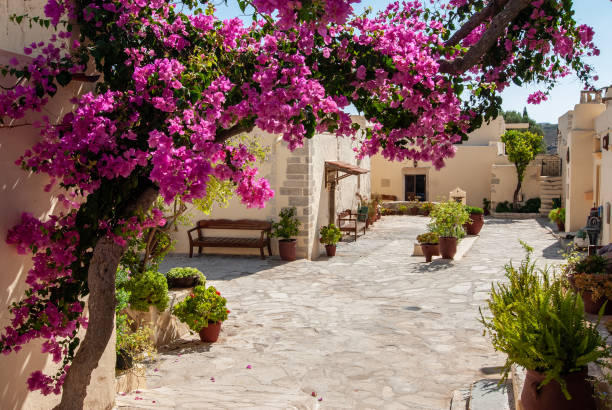 istock courtyard of monastery with pink blossomed tree 1097511846