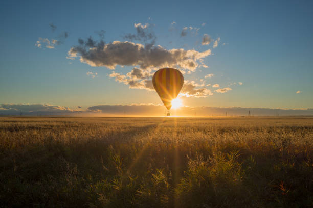 Sunset Hot Air Ballons Over the Prairie Canola Fields, Alberta, Canada
