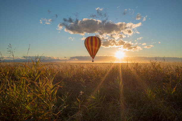 istock Sunset Hot Air Ballons Over the Prairie Canola Fields, Alberta, Canada 1097520216