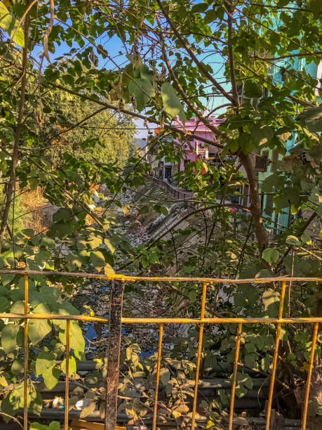 Kosi River behind bush with floating rubbish in Ramnagar, Uttarakhand, India