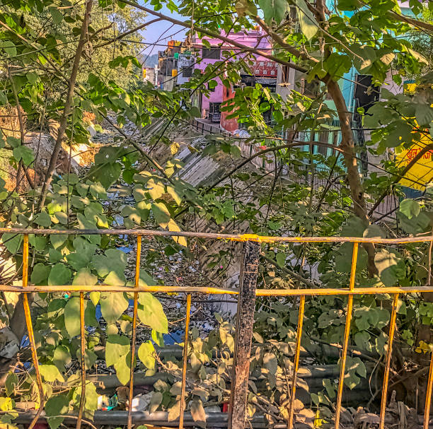 istock Kosi River behind bush with floating rubbish in Ramnagar, Uttarakhand, India 1097536790