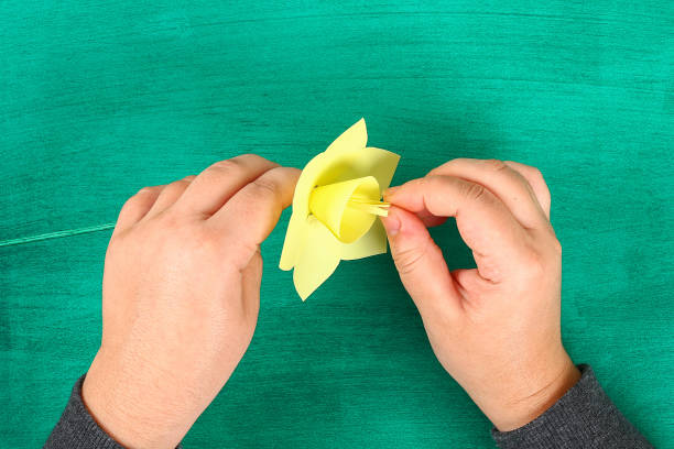 narcisos de flores de primavera diy de papel amarillo sobre un fondo verde. - yellow easter daffodil religious celebration fotografías e imágenes de stock
