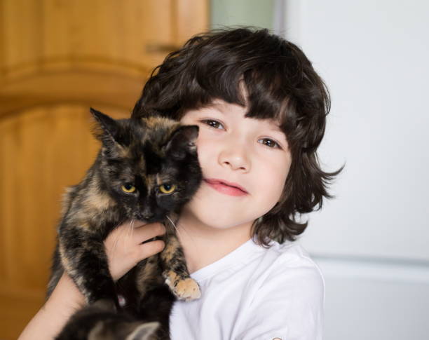 Rapaz, gatinho, casa, diversão - foto de acervo