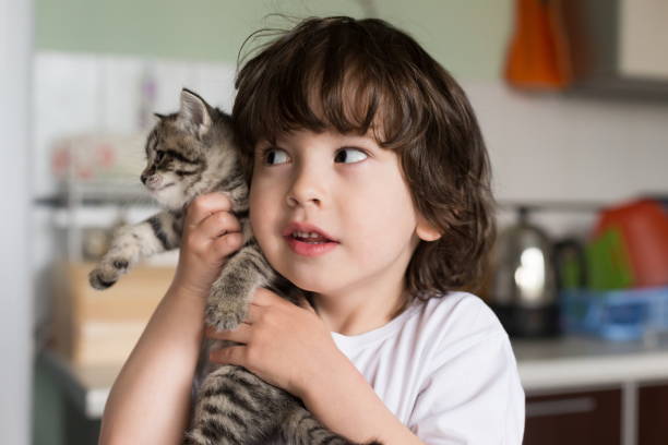 Rapaz, gatinho, casa, diversão - foto de acervo