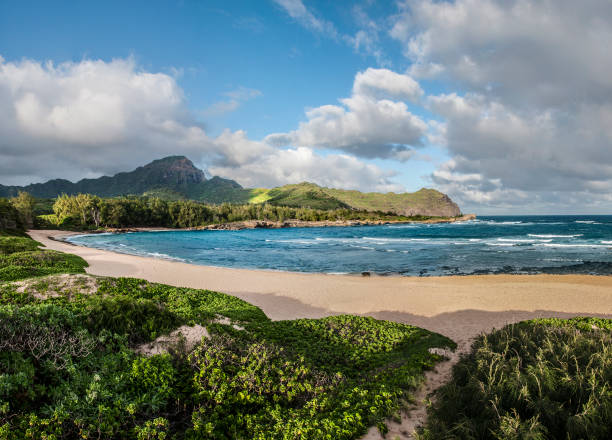 залив кавайлоа и пляж мехюлепе - mahaulepu beach стоковые фото и изображения