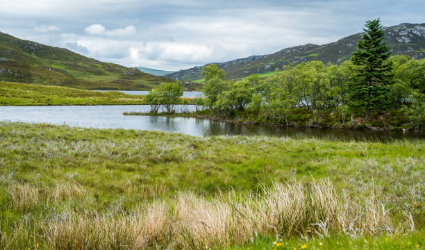 istock Loch Tarff, near Fort Augustus, Scottish Highlands. 1097543154