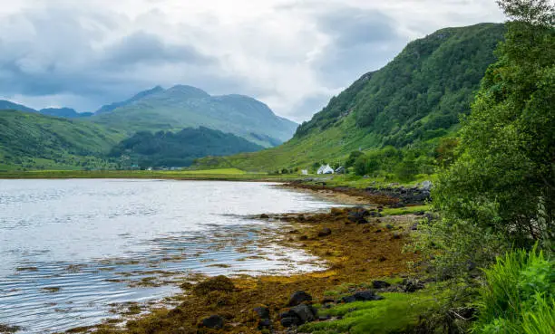 Photo of Loch Sunart, sea loch on the west coast of Scotland.