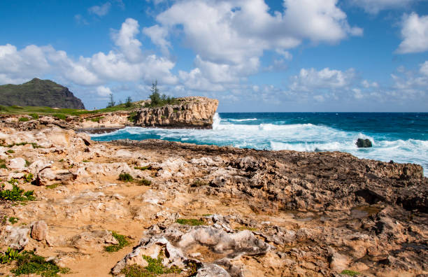 paisaje de rocas volcánicas y acantilados de playa hāula - mahaulepu beach fotografías e imágenes de stock