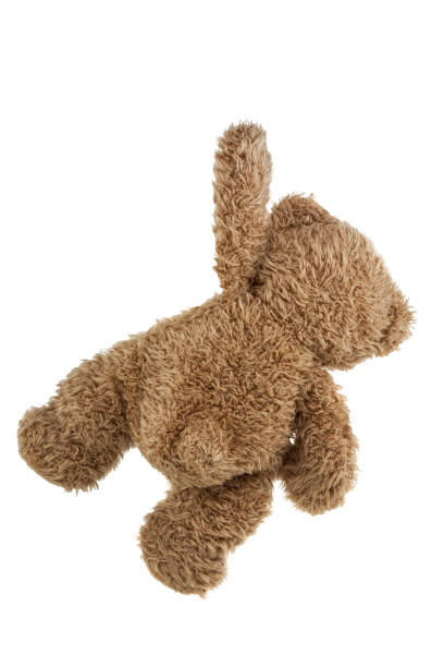 istock teddy bear isolated on white background 1097545750
