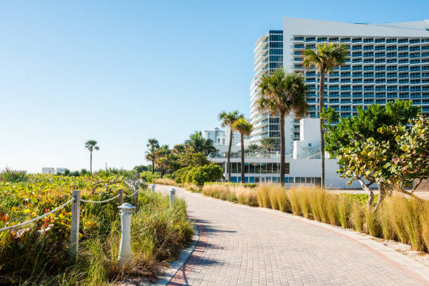 istock Miami Beach Walking Path with Palm Trees and Hotels 1097546608
