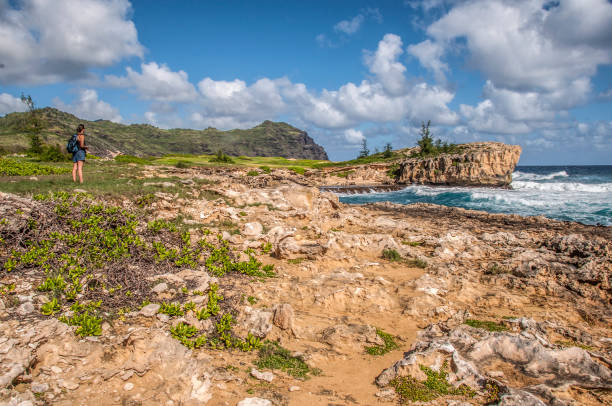 удаленный, прочный, исторический и красивый, пляж махаулепу - mahaulepu beach стоковые фото и изображения