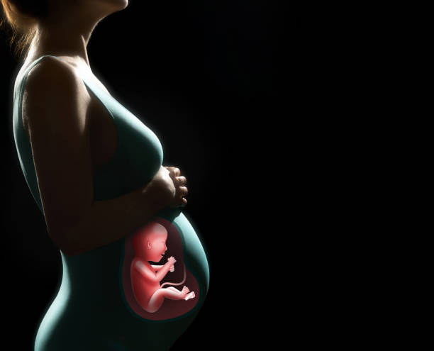 istock Pregnant woman with baby inside. 1097554622