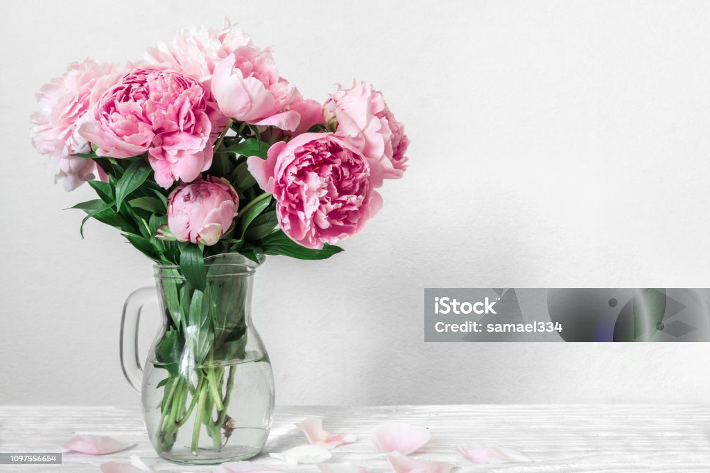 Hermoso Ramo De Flores De Peonía Rosa En Jarrón Día De La Mujer O Novia Fondo Con Espacio De Copia Foto de stock y más banco de imágenes de Amor - iStock Hermoso Ramo De Flores De Peonía Rosa En Jarrón Día De La Mujer O Novia Fondo Con Espacio De Copia Foto de stock y más banco de imágenes de Amor - iStock