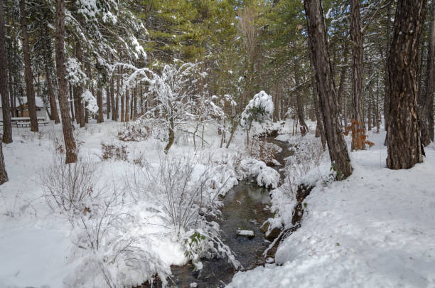 istock Winter landscape.Everywhere covered with snow. 1097556770