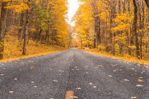 istock Autum along the Blue Ridge Parkway 1097557630