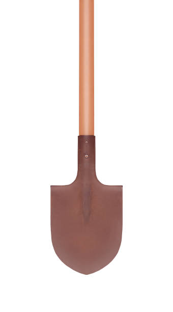 istock Wooden shovel isolated on white background 1097558320