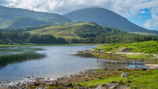 Stunning landscape along Loch Cill Chriosd in the Isle of Skye, Scotland. Stunning landscape along Loch Cill Chriosd in the Isle of Skye, Scotland. isle of skye broadford stock pictures, royalty-free photos & images