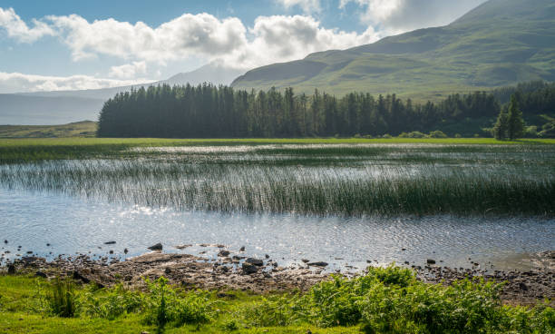 Stunning landscape along Loch Cill Chriosd in the Isle of Skye, Scotland. Stunning landscape along Loch Cill Chriosd in the Isle of Skye, Scotland. isle of skye broadford stock pictures, royalty-free photos & images