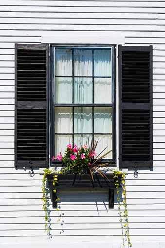 Colonial Style Window with black shutters on a New England House