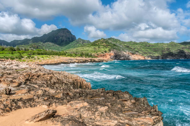 bella giornata a haula beach sulla riva sud di kauai - mahaulepu beach foto e immagini stock