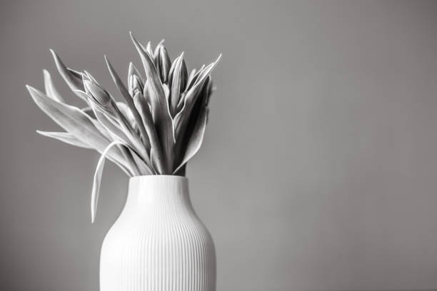 istock Tulips in vase, black and white 1097574926