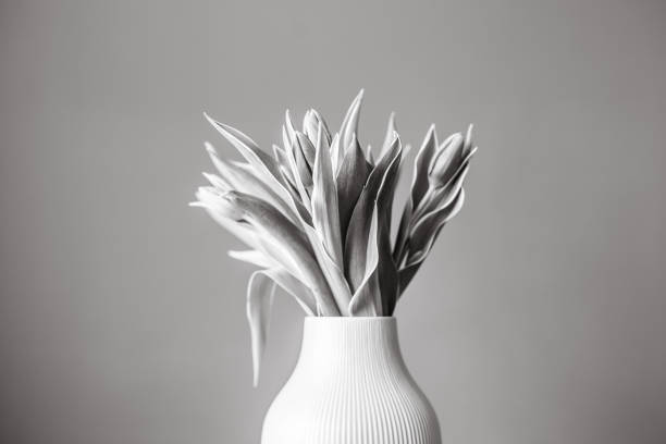 istock Tulips in vase, black and white 1097575424
