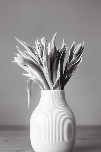 istock Tulips in vase, black and white 1097575444