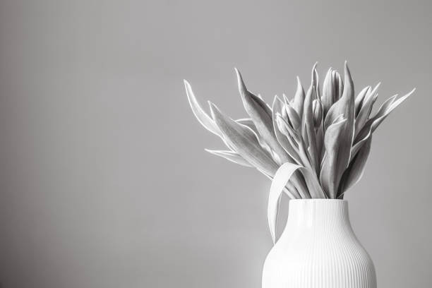 istock Tulips in vase, black and white 1097576602