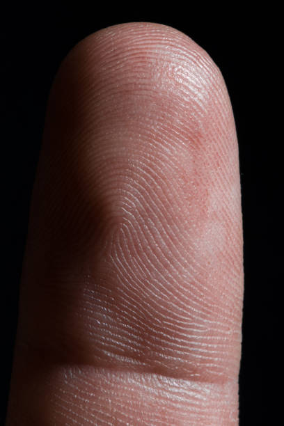 istock an image of human finger close up 1097590412