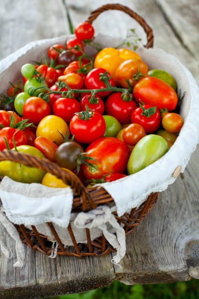 istock colorful tomatoes in basket 1097597364