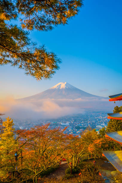 istock Scenic View Of Trees Against Sky During Autumn 1097599452