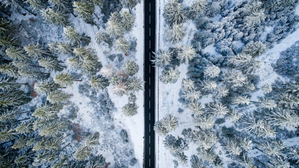 istock Road through the wintery forest - aerial view 1097617134
