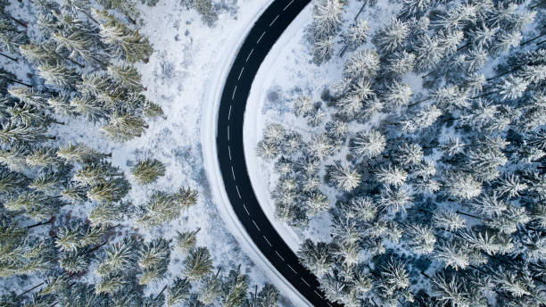 istock Road through the wintery forest - aerial view 1097617212