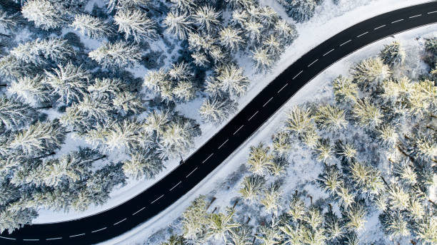 istock Road through the wintery forest - aerial view 1097617254